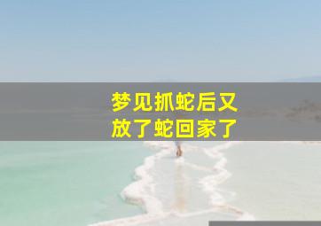 梦见抓蛇后又放了蛇回家了