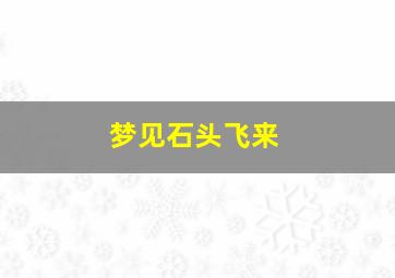 梦见石头飞来