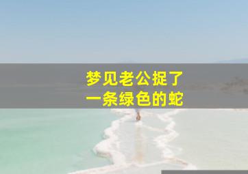 梦见老公捉了一条绿色的蛇