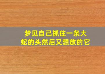 梦见自己抓住一条大蛇的头然后又想放的它