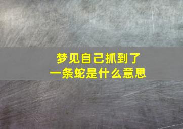 梦见自己抓到了一条蛇是什么意思