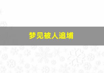 梦见被人追埔