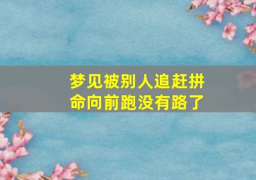 梦见被别人追赶拼命向前跑没有路了