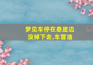 梦见车停在悬崖边没掉下去,车冒油