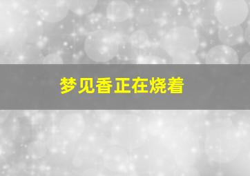 梦见香正在烧着