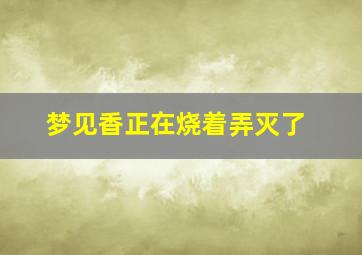 梦见香正在烧着弄灭了