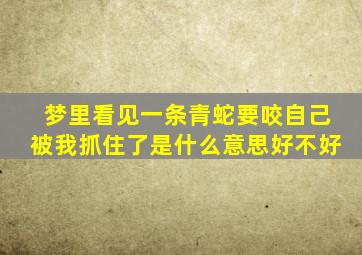 梦里看见一条青蛇要咬自己被我抓住了是什么意思好不好