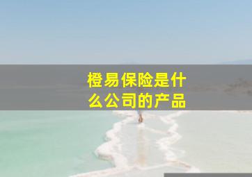 橙易保险是什么公司的产品