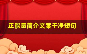 正能量简介文案干净短句