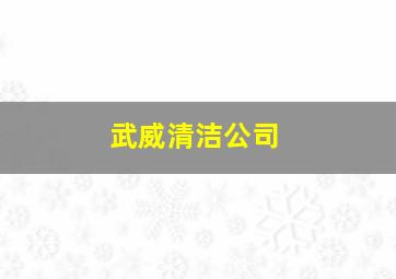 武威清洁公司