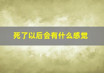 死了以后会有什么感觉