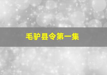 毛驴县令第一集