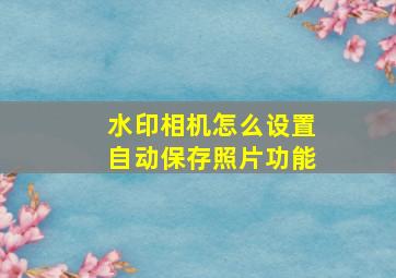 水印相机怎么设置自动保存照片功能