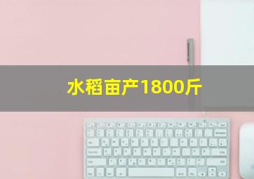 水稻亩产1800斤