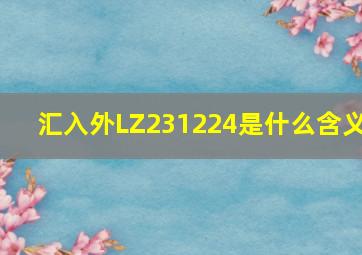 汇入外LZ231224是什么含义