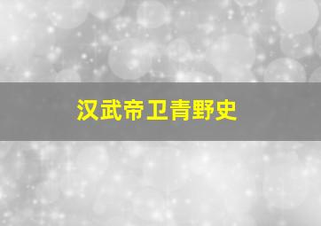 汉武帝卫青野史