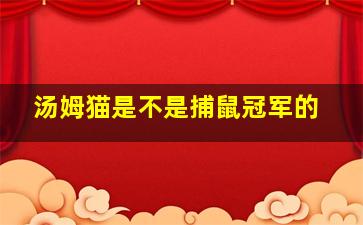 汤姆猫是不是捕鼠冠军的