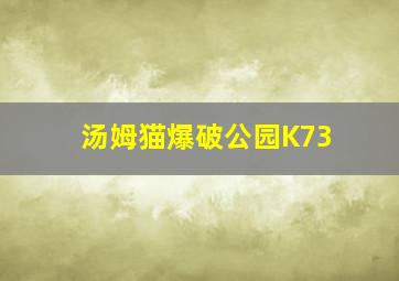 汤姆猫爆破公园K73