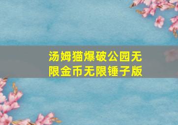 汤姆猫爆破公园无限金币无限锤子版