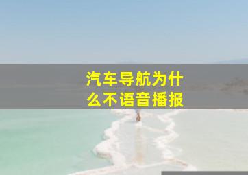 汽车导航为什么不语音播报