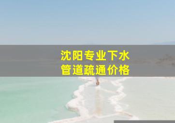 沈阳专业下水管道疏通价格