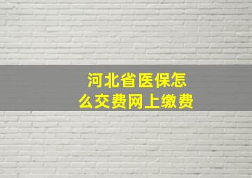 河北省医保怎么交费网上缴费