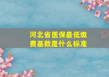 河北省医保最低缴费基数是什么标准