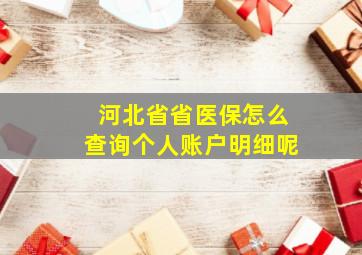 河北省省医保怎么查询个人账户明细呢