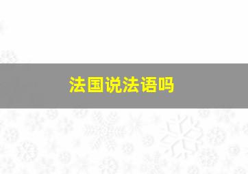 法国说法语吗