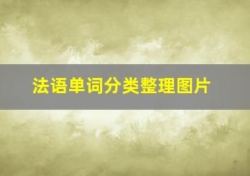 法语单词分类整理图片