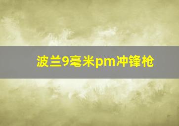 波兰9毫米pm冲锋枪