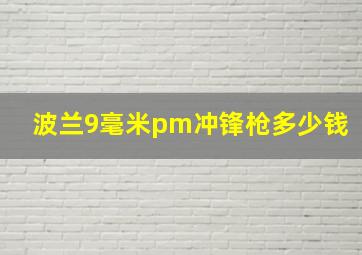 波兰9毫米pm冲锋枪多少钱