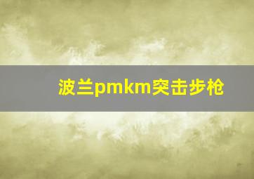 波兰pmkm突击步枪