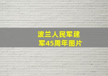 波兰人民军建军45周年图片