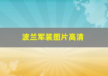 波兰军装图片高清