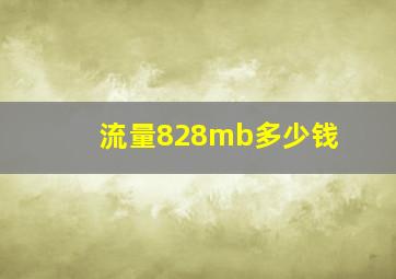 流量828mb多少钱