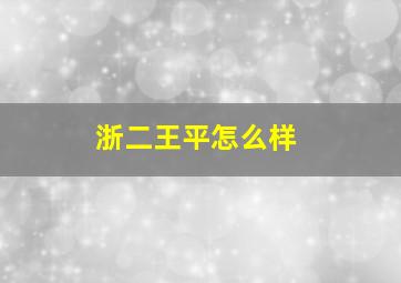 浙二王平怎么样