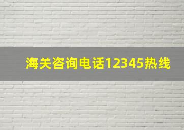 海关咨询电话12345热线