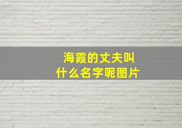 海霞的丈夫叫什么名字呢图片