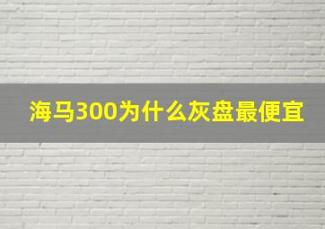 海马300为什么灰盘最便宜