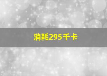 消耗295千卡