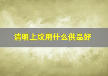 清明上坟用什么供品好