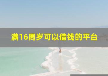 满16周岁可以借钱的平台