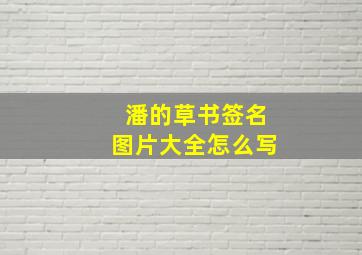 潘的草书签名图片大全怎么写