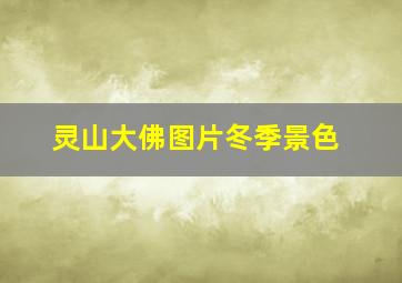 灵山大佛图片冬季景色