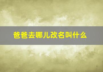 爸爸去哪儿改名叫什么