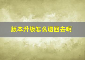 版本升级怎么退回去啊