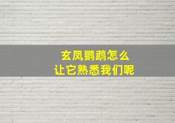 玄凤鹦鹉怎么让它熟悉我们呢