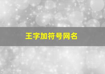 王字加符号网名