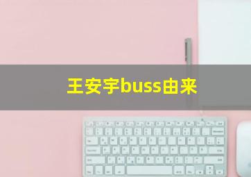 王安宇buss由来